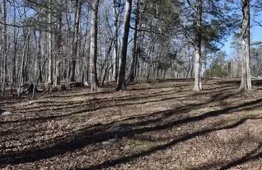 39 SW Omega Park Road, Somerset, KY 42501 - #2