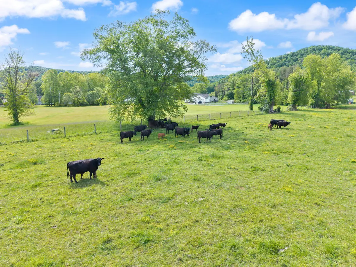 2560 Mcbrayer Road, Clearfield, KY 40313 - #1