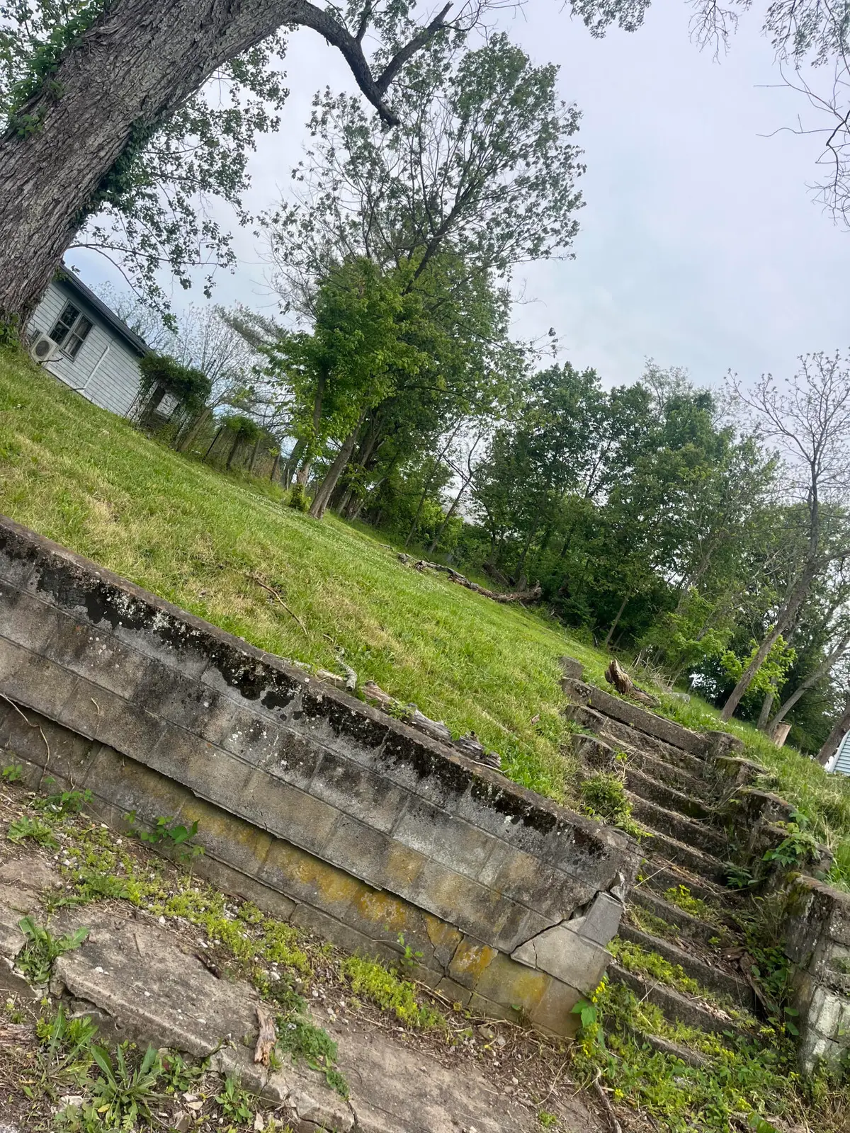 145 Vine Street, Sadieville, KY 40370 - #1