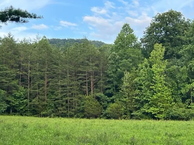 9999 Sunrise Valley Road #Tract 3, Irvine, KY 40336 - #3