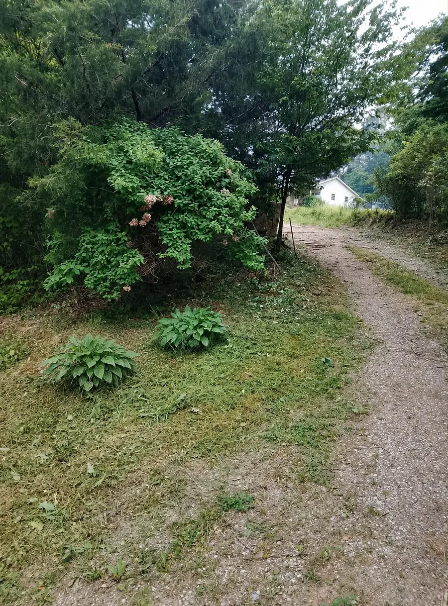 1605 Tiny Branch Road, Frakes, KY 40940 - #2