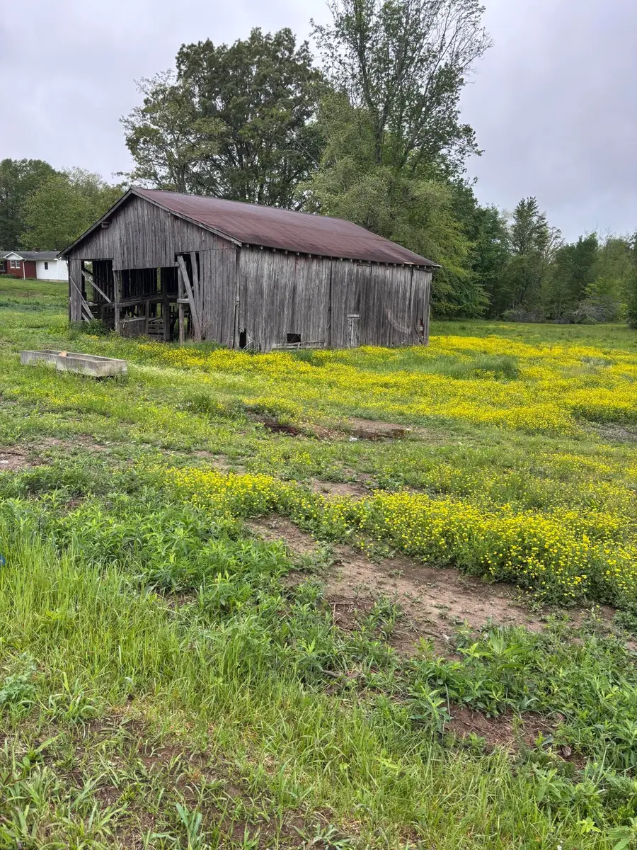 1075 Patterson Road, Russell Springs, KY 42642 - #3