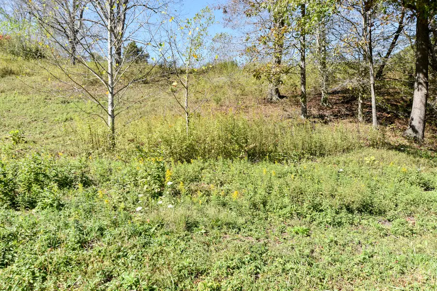 601 Hackworth Hollow Road, Vanceburg, KY 41179 - #2