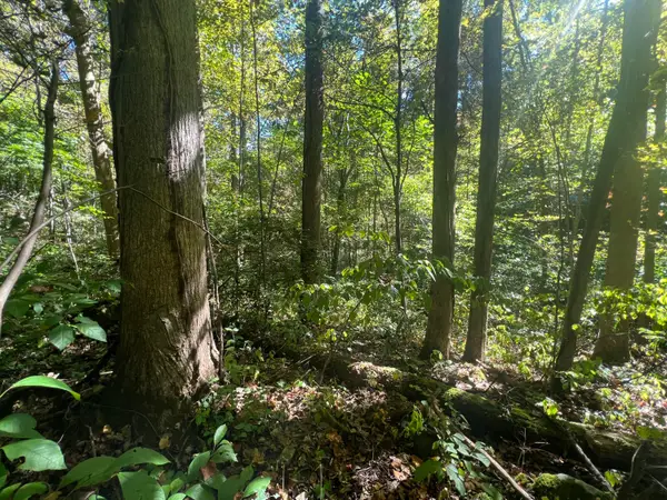 Lot 15 Red River Valley, Slade, KY 40376