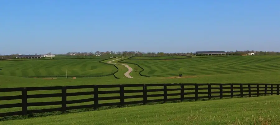 1455 Cane Ridge Road, Paris, KY 40361 - #3