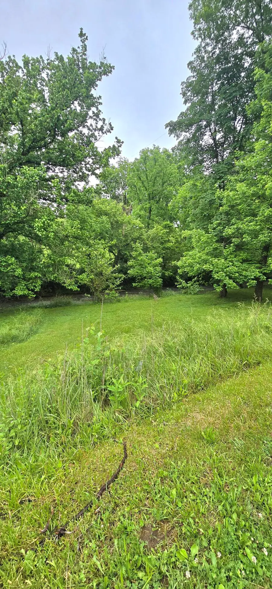 340 Hyden Lane, Somerset, KY 42501 - #2