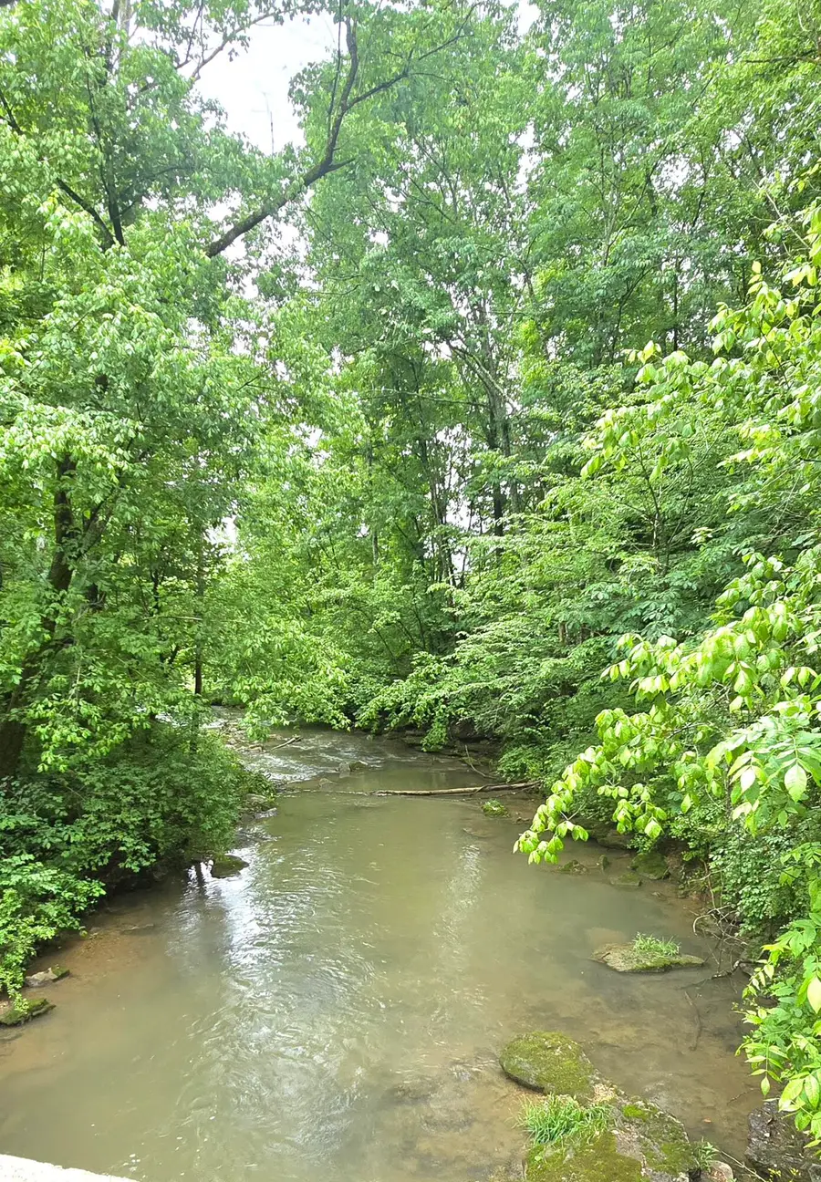 340 Hyden Lane, Somerset, KY 42501 - #3