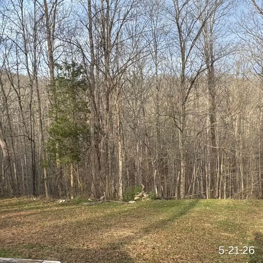 234 Brandenburg Road, Frenchburg, KY 40322 - #2