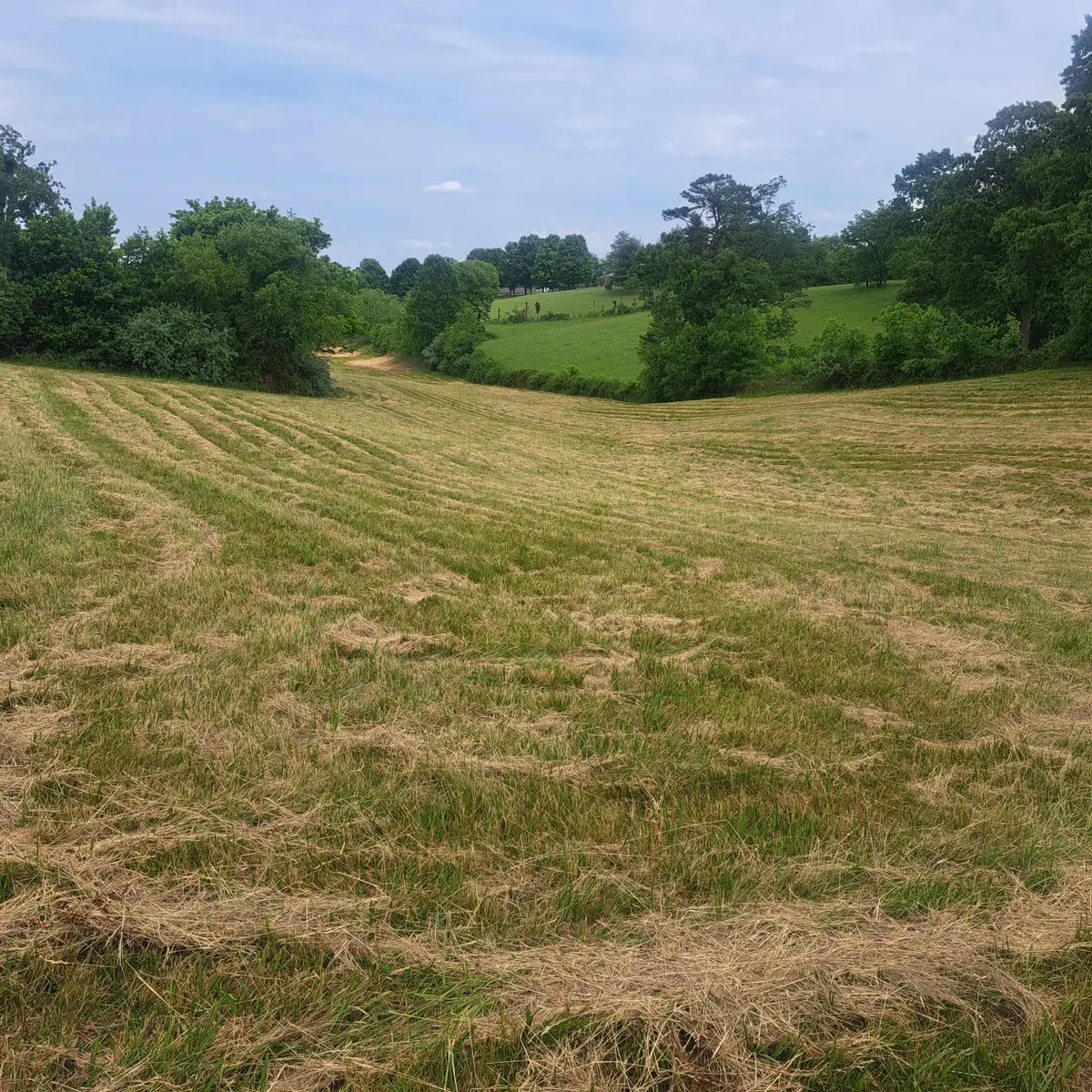 9999 Mcgill Wyan Road, London, KY 40744 - #1