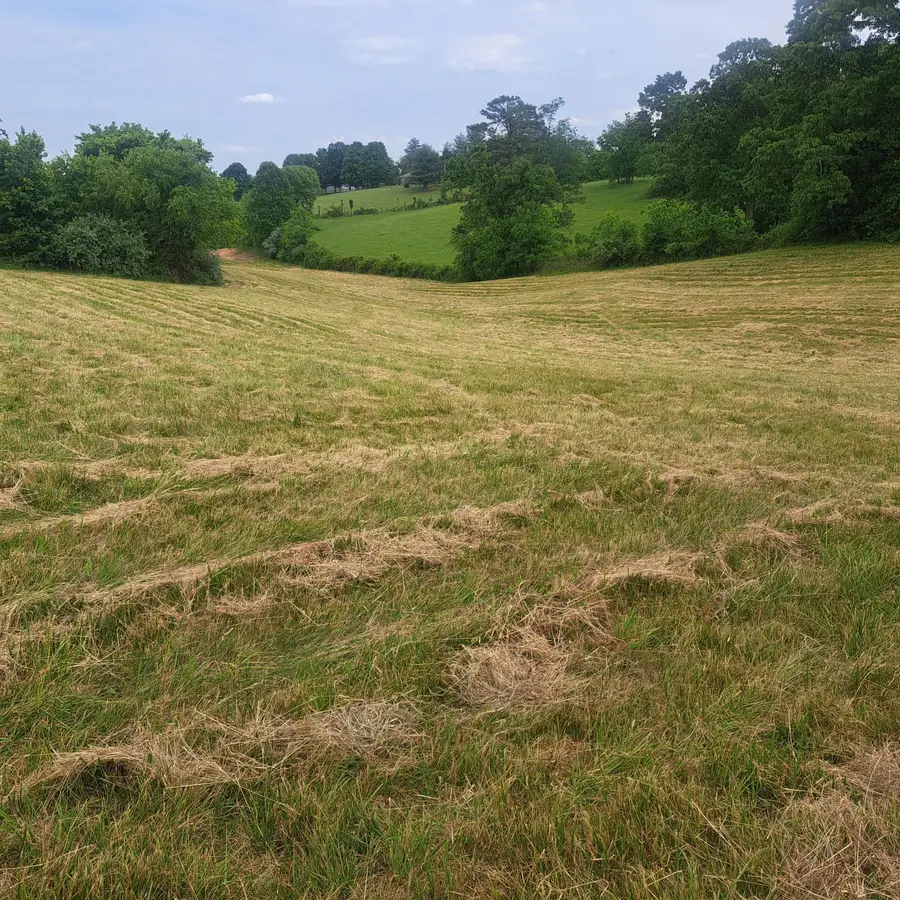 9999 Mcgill Wyan Road, London, KY 40744 - #2