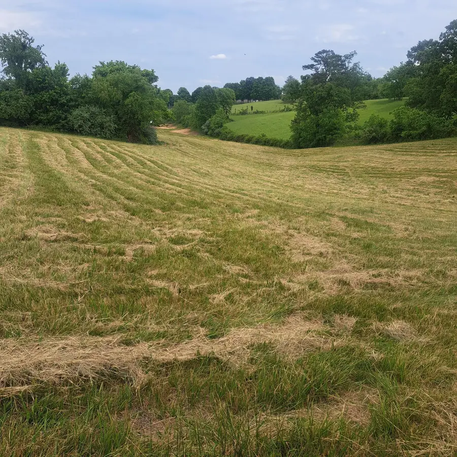 9999 Mcgill Wyan Road, London, KY 40744 - #3