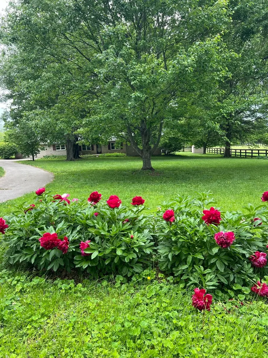 629 Craig Lane, Georgetown, KY 40324 - #2