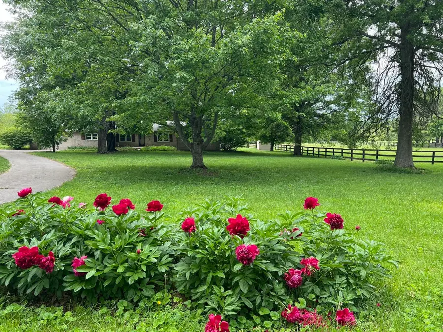 629 Craig Lane, Georgetown, KY 40324 - #3