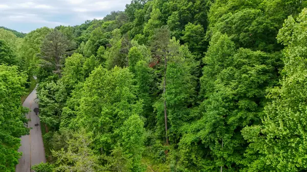 8295 State Highway 1003, Somerset, KY 42501