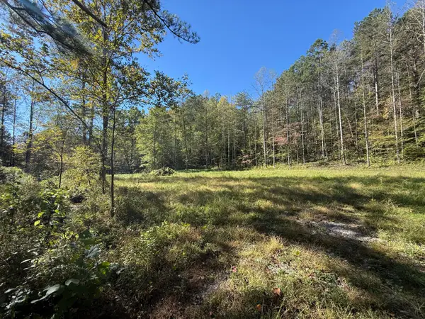 9999 Reed Branch Road, Manchester, KY 40962