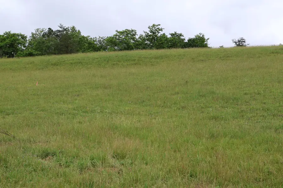 4135 Big Andy Ridge Road #Tract 8, Rogers, KY 41365 - #2