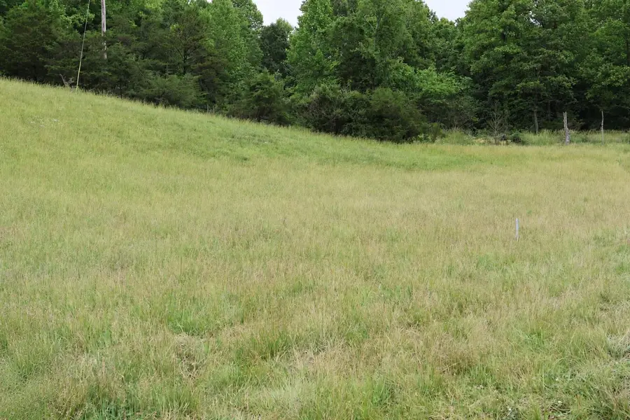 4135 Big Andy Ridge Road #Tract 8, Rogers, KY 41365 - #3