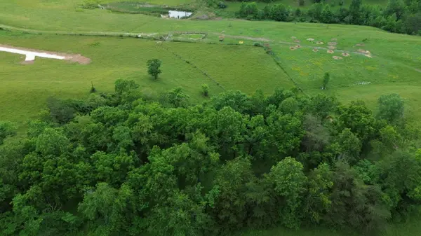 4135 Big Andy Ridge Road #Tract 9, Rogers, KY 41365