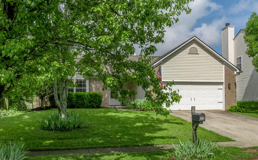 441 Lemon Drop Lane, Lexington, KY 40511 - #3