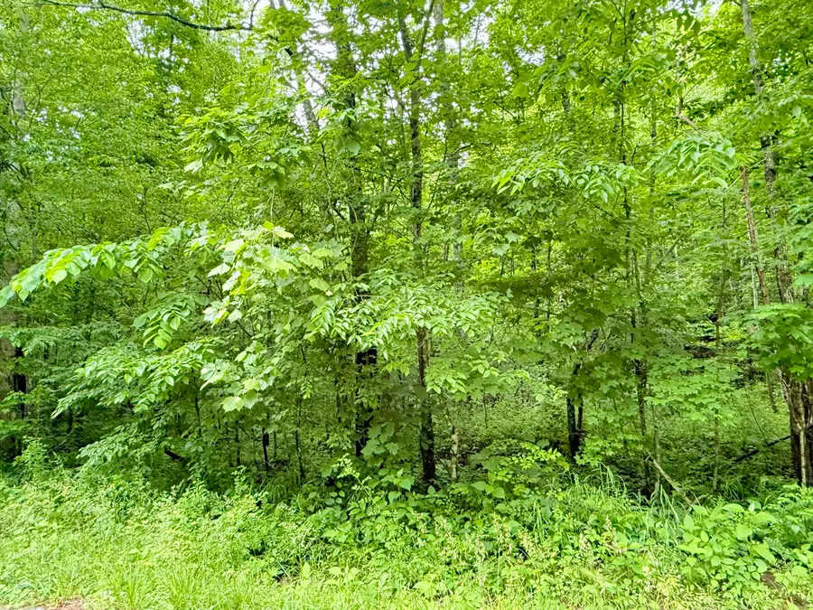 1200  Owens Branch Road, Dunnville, KY 42528 - #3