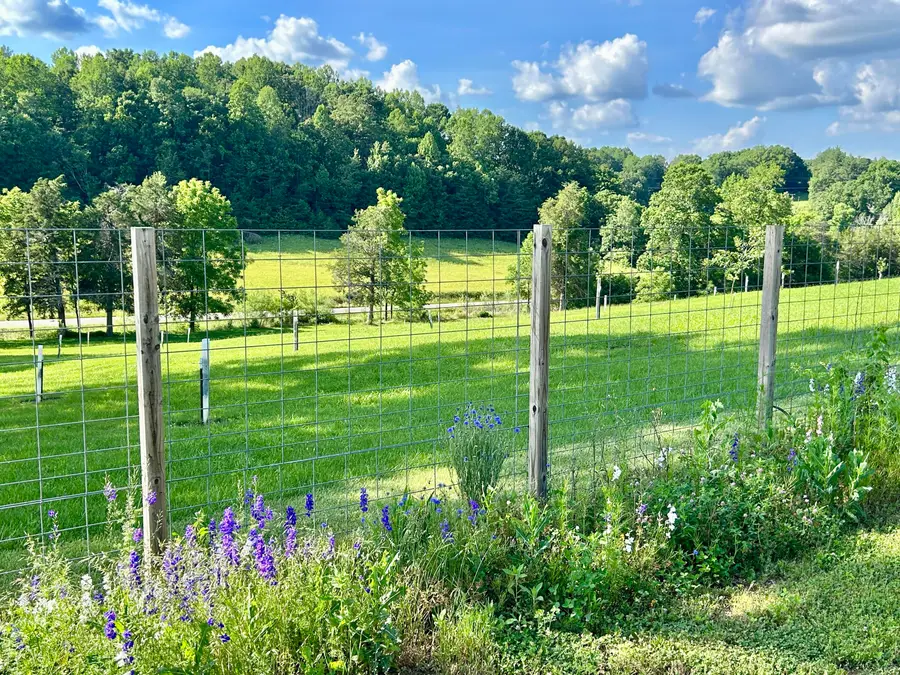 94 Tarter Cemetery Road, Nancy, KY 42544 - #2