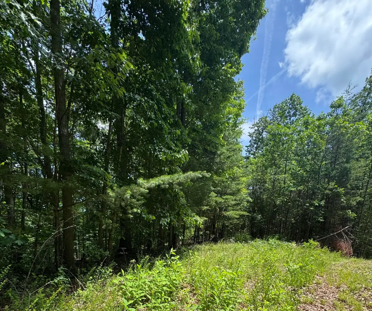 Lot #67 Sunrise Cove Trail #67, Monticello, KY 42633 - #1