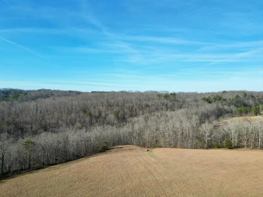 1235 Long Branch-land, Beattyville, KY 41311 - #3