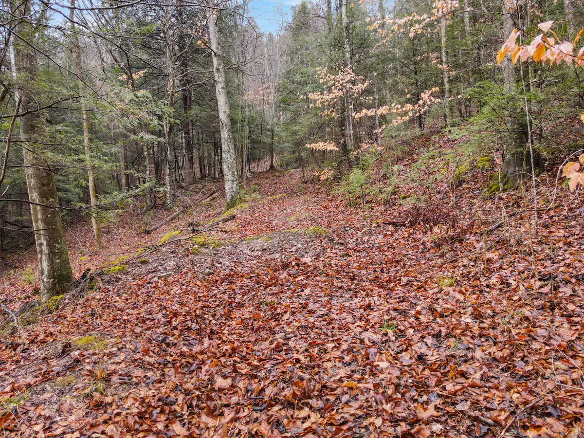 0 0 South Fork Road, Stanton, KY 40380 - #1