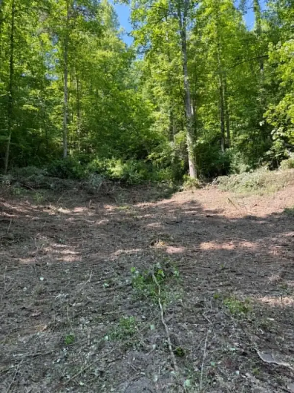 0 Ky-706 Road, Sandy Hook, KY 41171