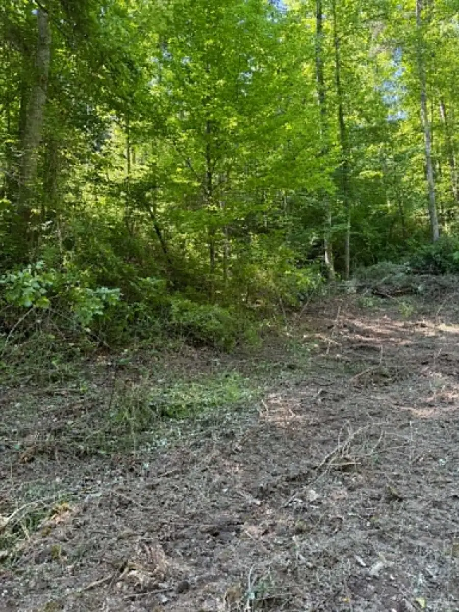 0 Ky-706 Road, Sandy Hook, KY 41171 - #3