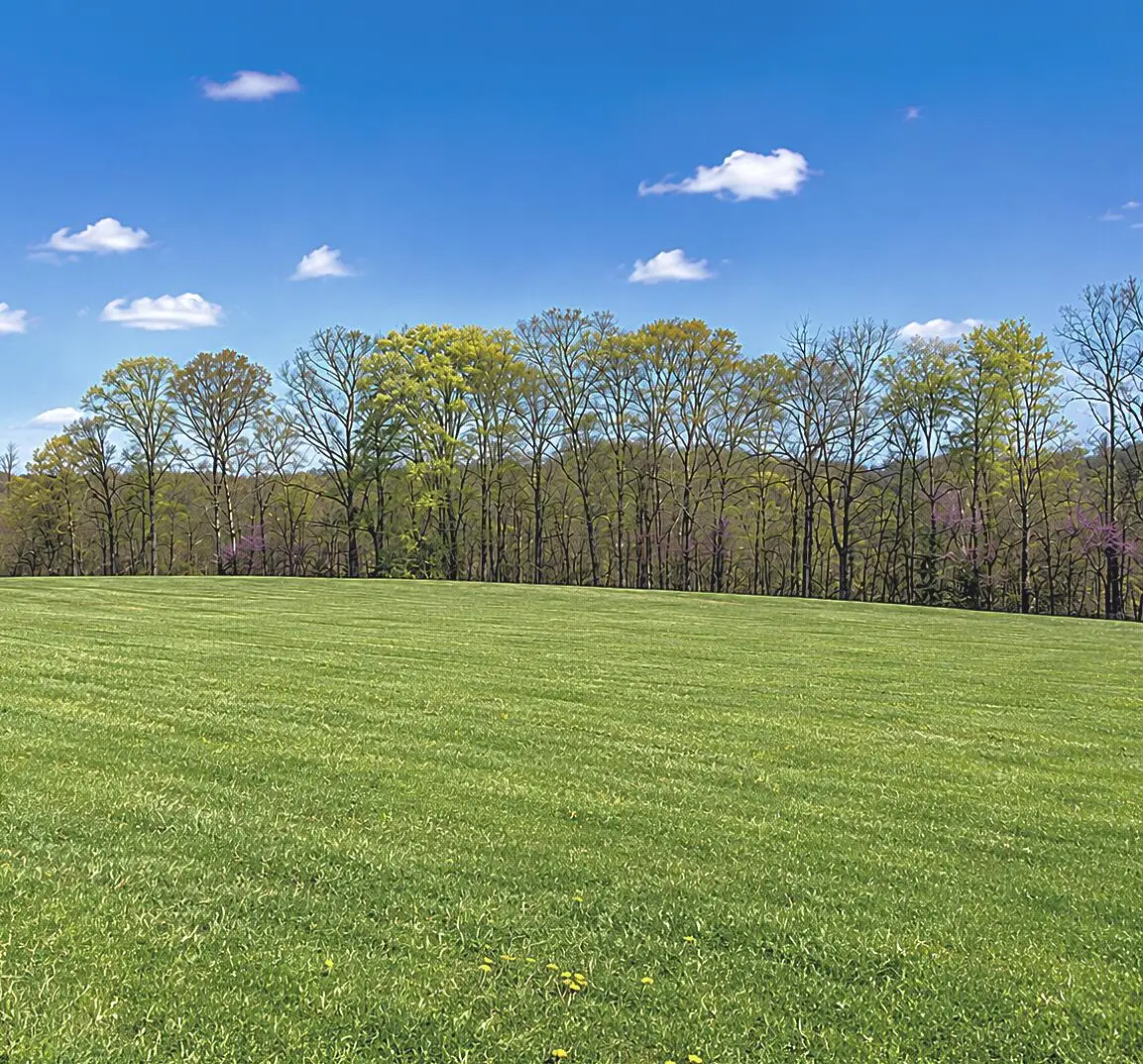 Lot 7 Laurel Wood Drive, Nancy, KY 42544 - #1