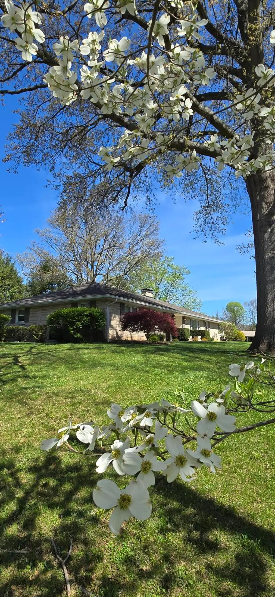 3101 Trinity Road, Lexington, KY 40503 - #3