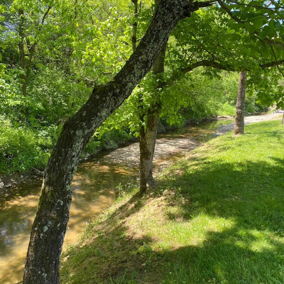 780 Skillet Branch Road, Owingsville, KY 40360 - #1