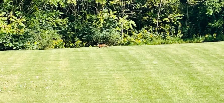 Lot 33  Ridge Road, Russell Springs, KY 42642 - #3