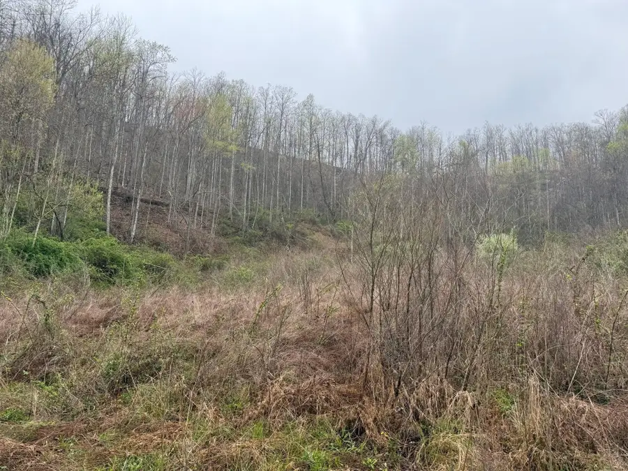 4242 Right Fork Georges Creek Road, Louisa, KY 41230 - #2