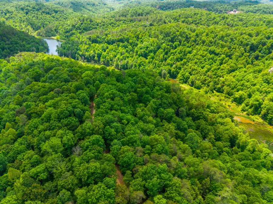 Lot 241-243  Cedarwood Drive, Zoe, KY 41397 - #3