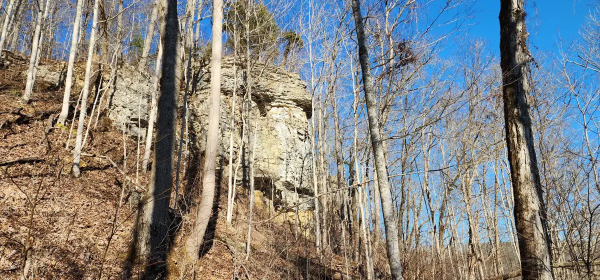 0 Birch Hollow Rd Road #Lot  20 Phase 3, Stanton, KY 40380 - #1
