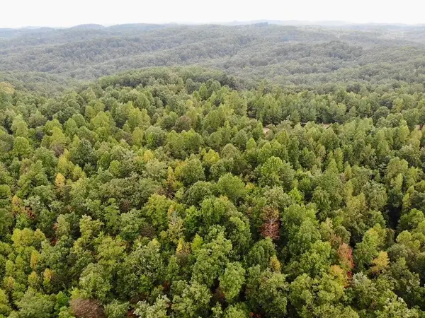 3680 Copper Creek Road, Berea, KY 40403