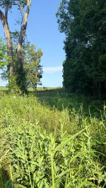 1350 Norwood Mt. Zion Road, Science Hill, KY 42553 - #1