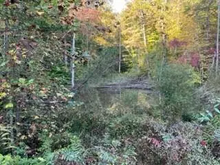 1001 Wilber Hill Road, Blaine, KY 41124 - #1