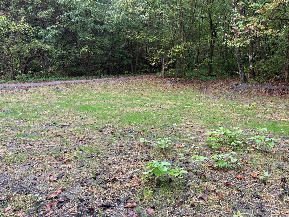 3350 Lower Pompey Branch Road, Shelbiana, KY 41562 - #1