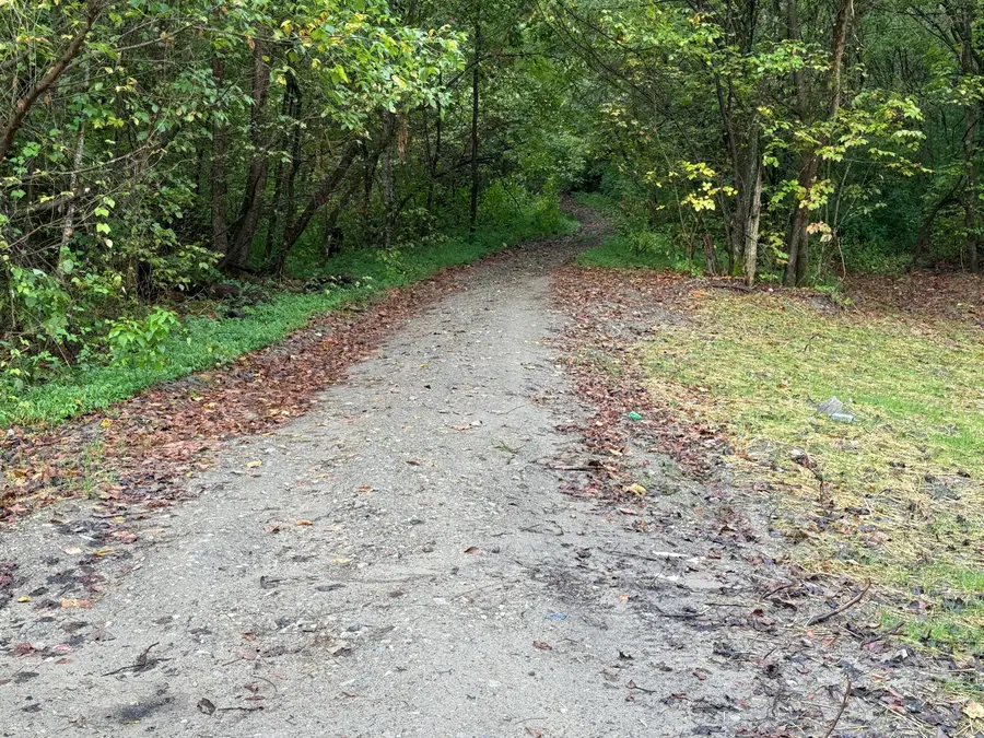 3350 Lower Pompey Branch Road, Shelbiana, KY 41562 - #2