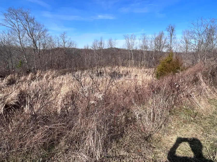 2557 Kentucky 1071, Tyner, KY 40486 - #2