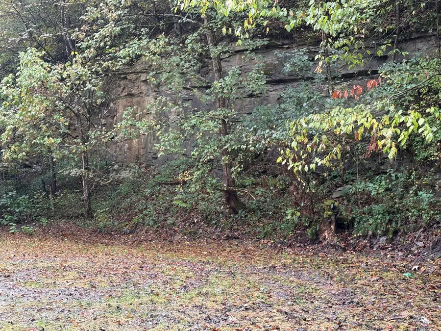 3348 Lower Pompey Branch Road, Shelbiana, KY 41562 - #3