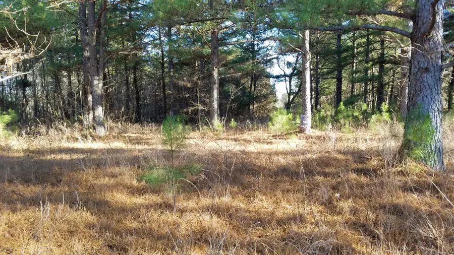 1601 Kidd Road, Williamsburg, KY 40769 - #2