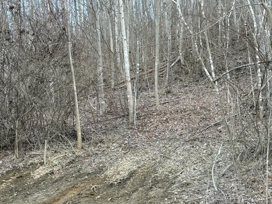 1251 Sarvice Hollow Road, Irvine, KY 40336 - #2