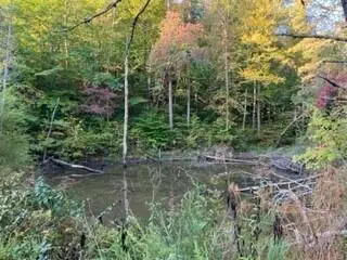 1003 Wilber Hill Road, Blaine, KY 41124 - #3