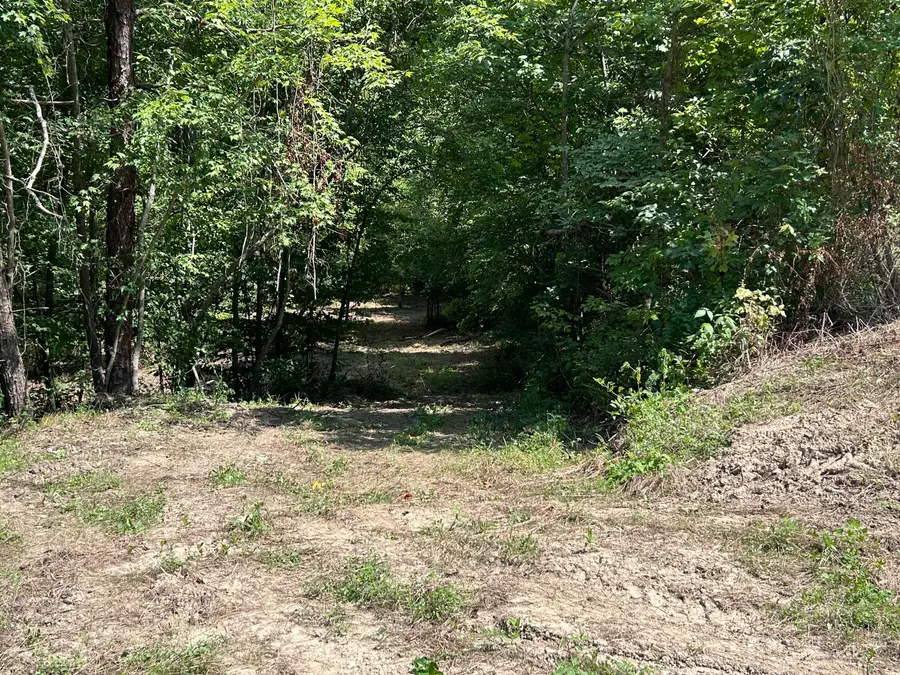 900 Wilber Hill Road, Blaine, KY 41124 - #3