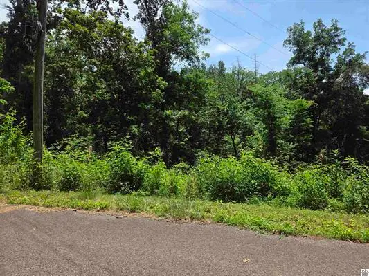 Lot 68 & 69 Baker Lane, Cadiz, KY 42211 - #2