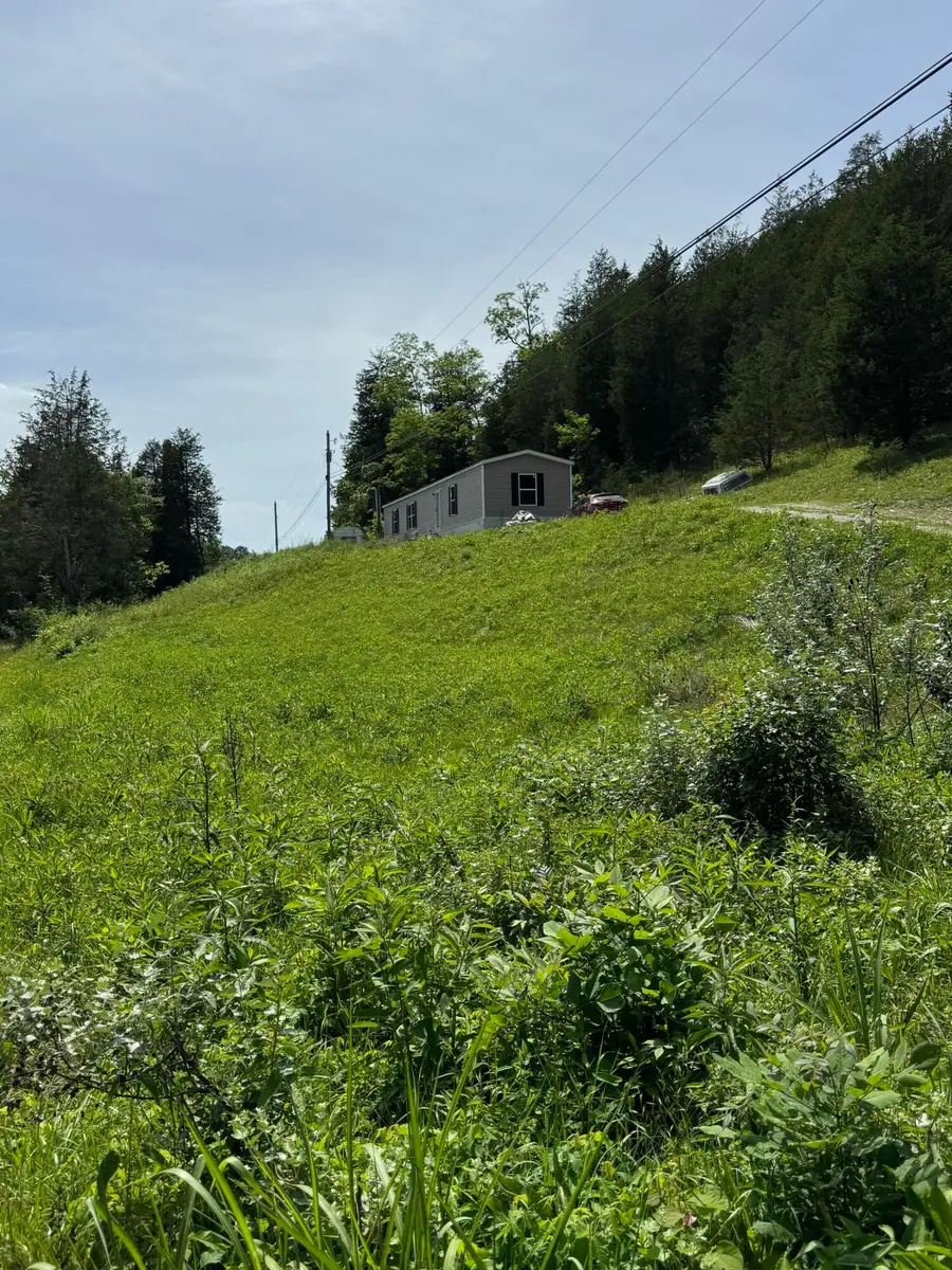 2030 Little Cabin Creek, Vanceburg, KY 41179 - #2